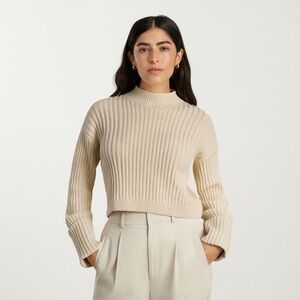 Everlane Cotton Ribbed Rollneck Sweater